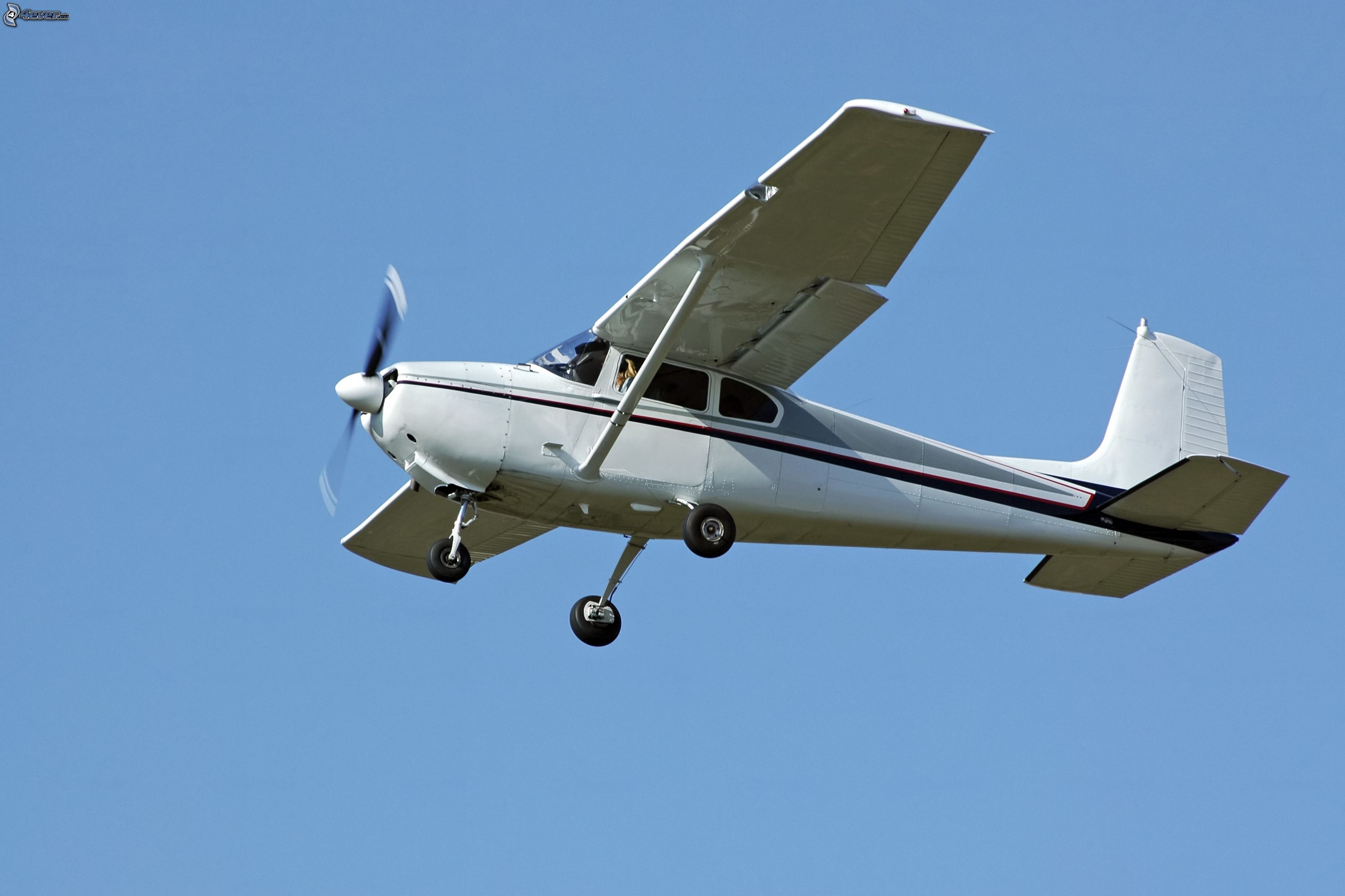 avion
