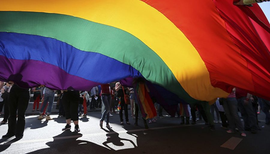 kot-lgbt-7666